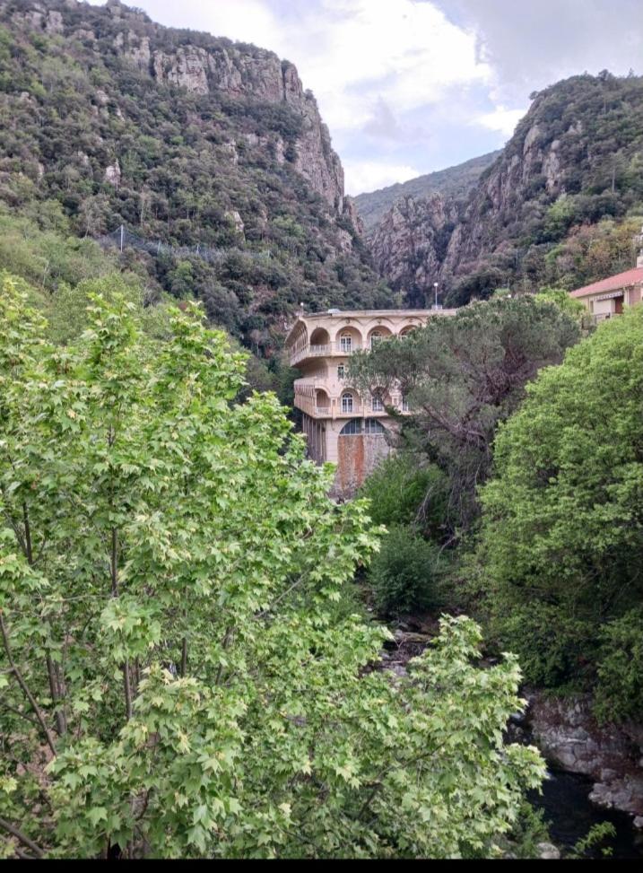 Апартаменты Las Tortoras Амели-ле-Бен-Палальда Экстерьер фото
